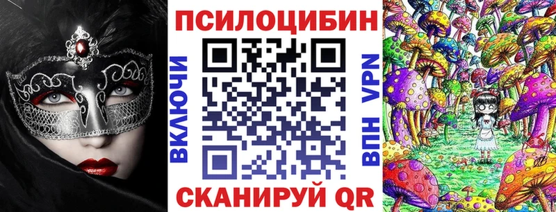 Галлюциногенные грибы Psilocybe  kraken ТОР  Камышин 